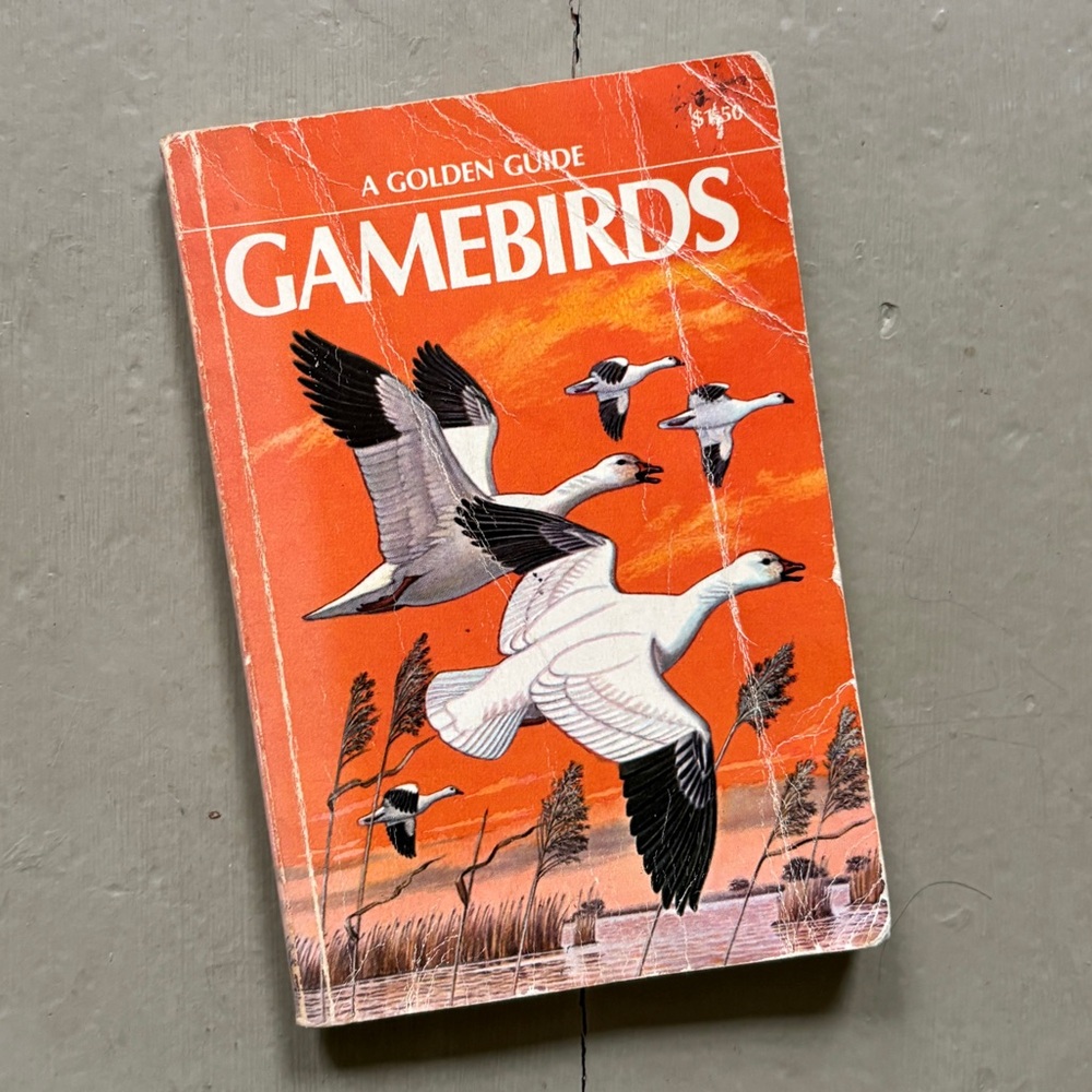 1961 Game Birds Golden Book Duck Goose Hunting Waterfowl Field Guide Huntcore